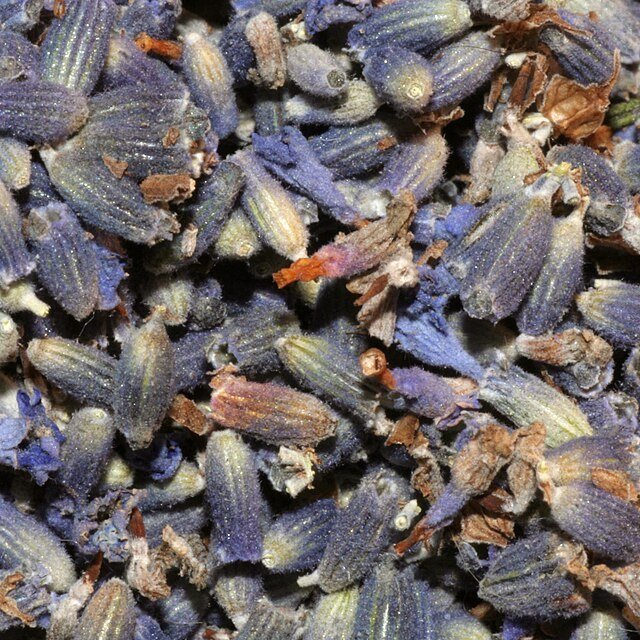 Dried Lavender Bundle