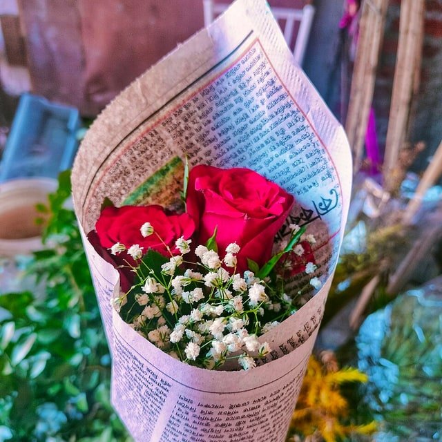 Gift Wrap Rose